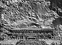 Skamielina