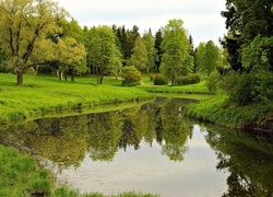 Oryginalny obrazek