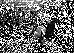 Skamielina