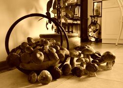 Sepia