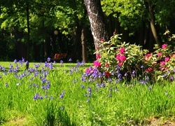 Oryginalny obrazek