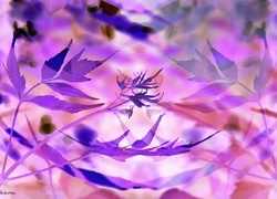 Negatyw