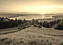 Szary + Sepia