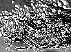 Skamielina