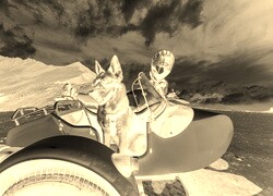 Sepia + Negatyw