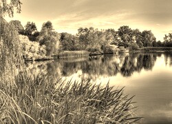 Sepia