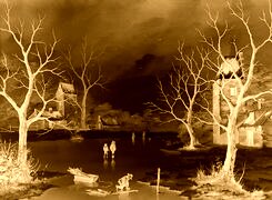 Sepia + Negatyw