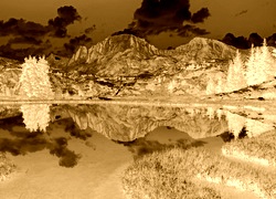 Sepia + Negatyw