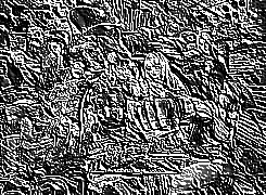 Skamielina