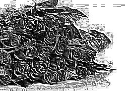 Skamielina