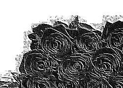 Skamielina