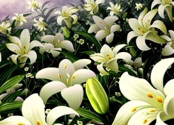 Oryginalny obrazek