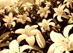 Sepia