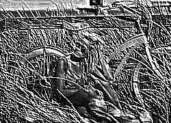 Skamielina