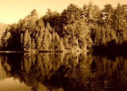 Sepia