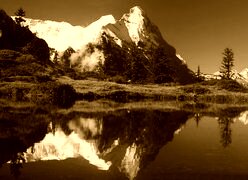 Sepia