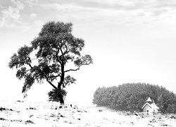 Szary + Sepia