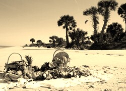 Szary + Sepia