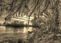 Szary + Sepia