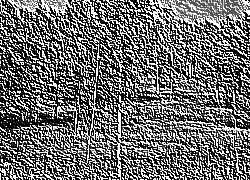 Skamielina