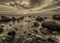 Szary + Sepia