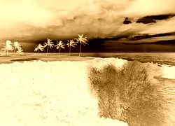 Sepia + Negatyw