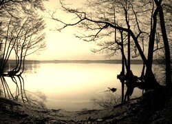 Szary + Sepia