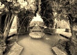 Szary + Sepia