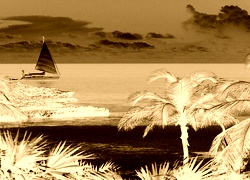 Sepia + Negatyw