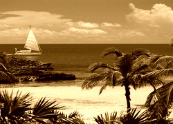 Sepia