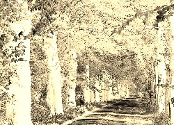 Sepia + Negatyw