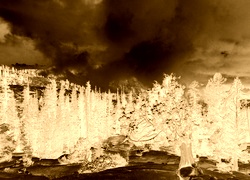Sepia + Negatyw
