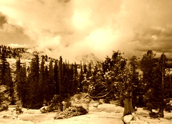 Sepia