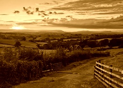 Sepia