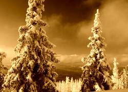 Sepia