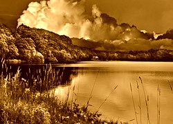 Sepia