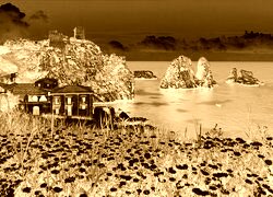 Sepia + Negatyw