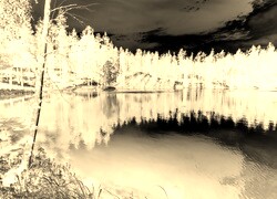 Sepia + Negatyw