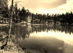 Sepia