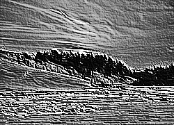 Skamielina
