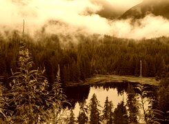 Sepia