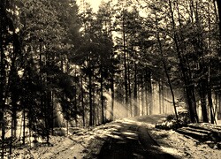 Sepia