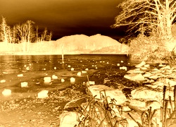 Sepia + Negatyw