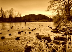 Sepia