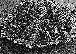 Skamielina