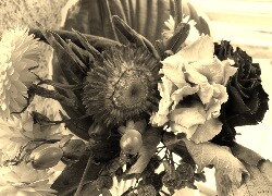 Szary + Sepia