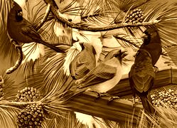 Sepia