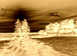 Sepia + Negatyw