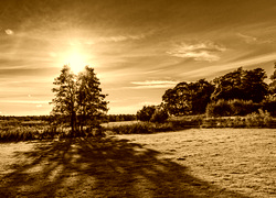 Sepia