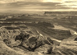 Sepia